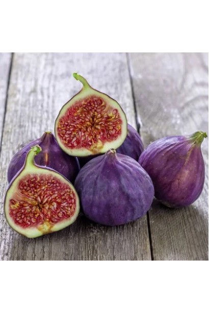 Фрукт инжира Texas Everbearing в разрезе – сочная красная мякоть